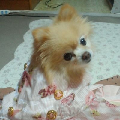 めぐ໒꒱ ⡱さんのプロフィール画像