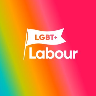 LGBT+ Labour Profile