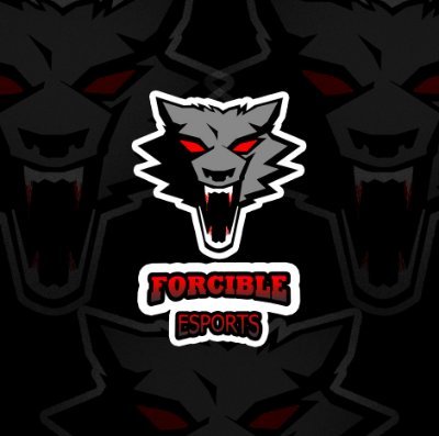 EsportsForcible's profile picture. Finnish CS:GO Team
Taking all Scrims.