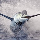 Dan Brickner - @danbrickner - Twitter