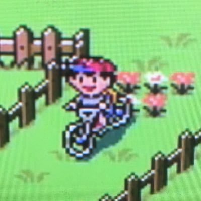 ｺﾏﾁさんのプロフィール画像
