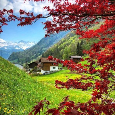 aal_kandari's profile picture. 👈🏻إن كنت لاتجيد صنع الإبتسامة 😶.. فتصدق بها على الناس فهي صدقة😄 If you do not know how to make a smile .. give it to people