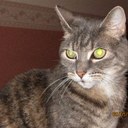 Terri Sweet - @tezMS - Twitter