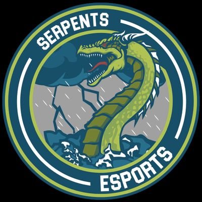 Offical Twitter of Serpents Esports🐉 
Currently building for 2k20..👀🤫😈