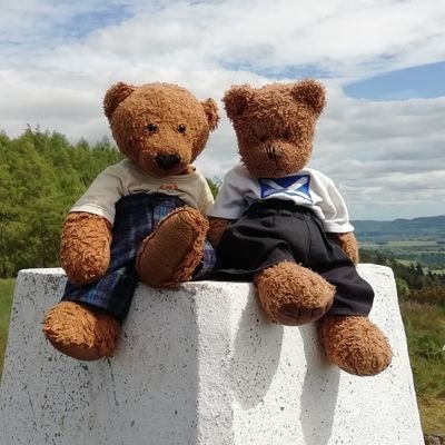 Family bears. Polite, sociable and well travelled.  #bearadventures