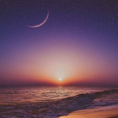 x0onelovex0's profile picture. *tw* Just a mentally ill 25 year old. Still don't know how to adult. Pro-Recovery 🌻