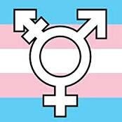 Mujer Trans, Desarrolladora de Software, Admiradora de todas mis hermanas trans.