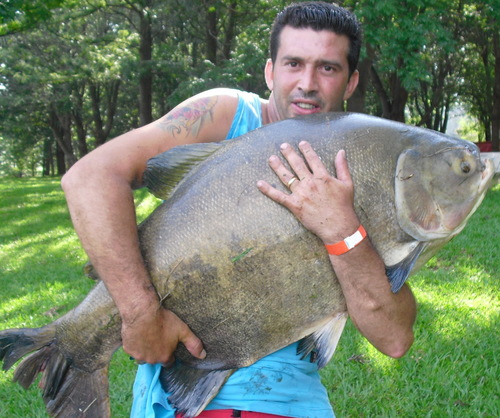Sou pescador nato, adoro pescar em pesqueiros em geral; Sigam me se gostarem de pescarias; Marido da @fdelphim e tenho dois filhos Leo e Lucky !!!