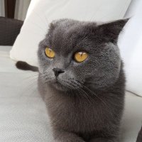 PITORESK (@pitoresk4) 's Twitter Profile