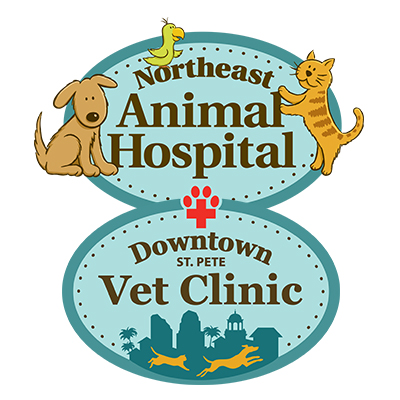 Northeast Animal Hospital & Downtown St. Pete Vet (@NEAnimalDTSPVet) / Twitter Northeast Animal Hospital & Downtown St. Pete Vet (@NEAnimalDTSPVet) / Twitter
