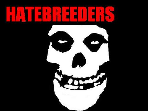 misfits_cover's profile picture. Hatebreeders tribute to greatest horror punk band Misfits existing till today.