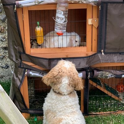Life on the sussex coast is never boring! Construction, Shower Hats, Mother and The mighty Seagulls! Oh and the ciders good too......