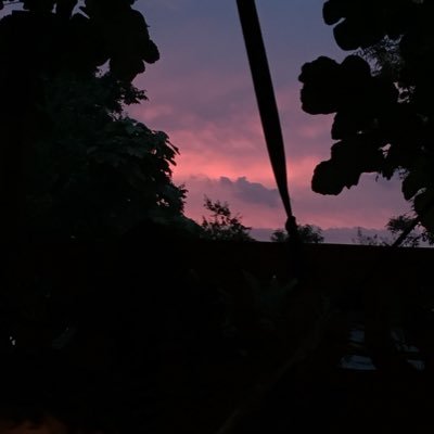 aysenuripekk's profile picture. 