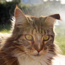 daynegrant's profile picture. Geek Entertainment Teknologist : I'm currently at East Croydon Railway Station (ECR)!