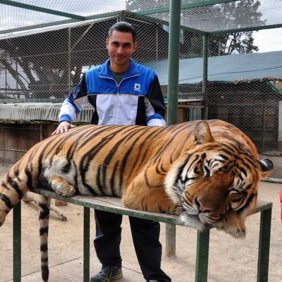 jersonuribe's profile picture. Ing. de Sistemas, Orfebre