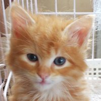 無我の境地 (@8tdoxtqabfv3e19) 's Twitter Profile