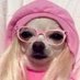 🐶 ray (@_rayx_) Twitter profile photo 🐶 ray (@_rayx_) Twitter profile photo