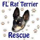 Ivy Kaufman - @FLRatTerriers - Twitter