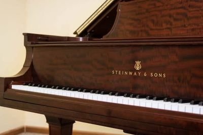 StefanoCarrer2's profile picture. piano man