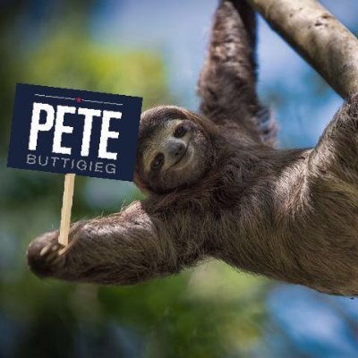 Sloths supporting Mayor @PeteButtigieg for President. Not affiliated with the campaign. #PeteForAmerica