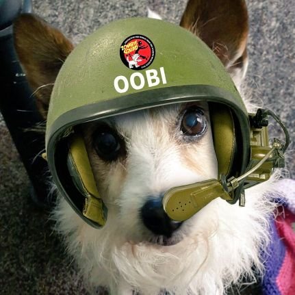 Proud CAPTAIN of #ZSHQ & #ZEOPS strives to keep tha humans safe from OTRB where I did went on Jan 8 2020