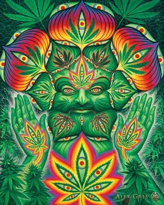 Cannabis advocate in Pasco County Florida. #Cannabis #Stonerfam #Iamcannabis