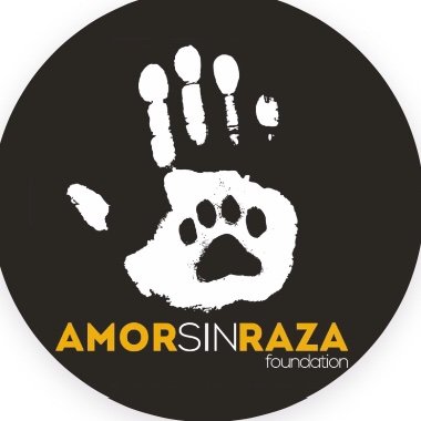 AmorSinRaza Profile Picture