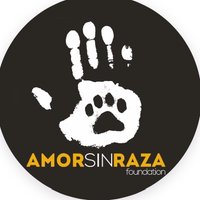 AmorSinRaza(@AmorSinRaza) 's Twitter Profileg