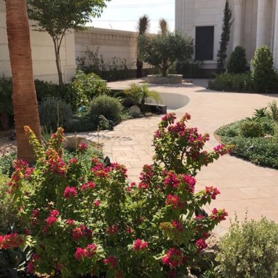 noarhselm's profile picture. 