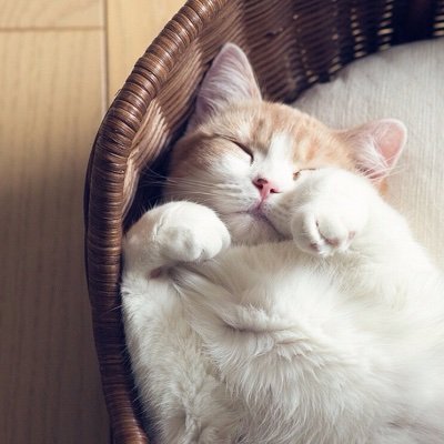 JhOcdb6B1YVXCXO's profile picture. 