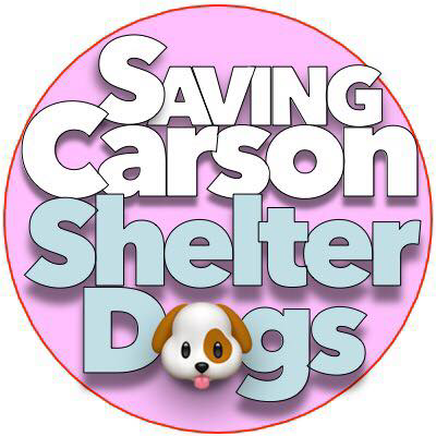 Carson Shelter, Gardena, California
216 Victoria Street, Gardena, California
310.523.9566, M-TH 12pm - 7pm, F-SU - 10am - 5pm