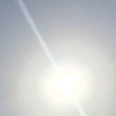 突然のいいね、リツイート、フォローで失礼します。 twitterに生きているみなさまありがとうございます。 リツイートはあとで見たいやつ。