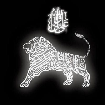 MuhammadTalalCh's profile picture. Sher e Ali ( Lion of Ali (AS))