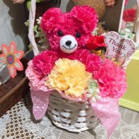 あか🧸 (@arrr_nox) 's Twitter Profile