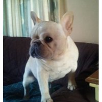 Suzanne (@grabbergrabber) 's Twitter Profile