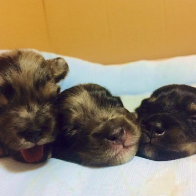 ryx0884's profile picture. 