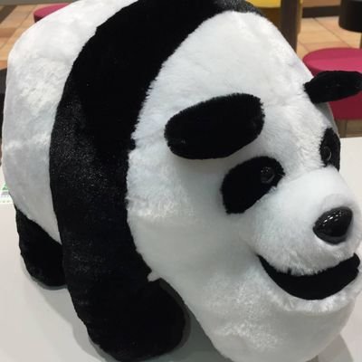 okutrader100's profile picture. 座右の銘  陽はまた昇る
3779
昨年３月に開業いたしました!!