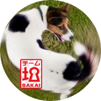 guruguru 夢洲カジノはテクノポート大阪計画のゾンビ化 (@mutarmutar) 's Twitter Profile Photo guruguru 夢洲カジノはテクノポート大阪計画のゾンビ化 (@mutarmutar) 's Twitter Profile Photo