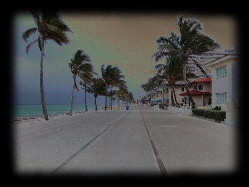 Business & Social Network for the Community of Hollywood Beach, FL