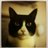 colombo_osaka's profile image
