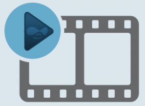 Video module allows you to upload video in any format, play video in any format, transcode video to FLV, automatically creates video thumbnails