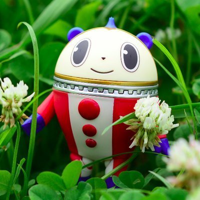 Rikoさんのプロフィール画像
