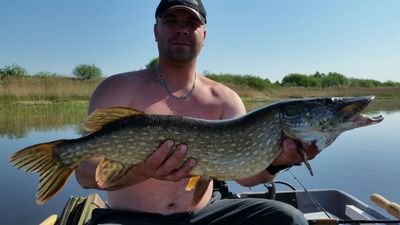 Andid30372442's profile picture. skrudzsh