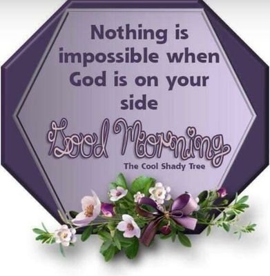 ponga96768884's profile picture. sports