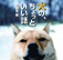 inunoiihanasi's profile picture. 書籍『犬の、ちょっといい話』（柏艪舎編）公式アカウントです。全国から寄せられた、犬たちとの感動のエピソード集、第2弾。第1弾の『６４の犬物語』（柏艪舎編）も好評発売中です。みなさまの【愛犬との心温まるエピソード】大募集中です！募集ページ⇒http://t.co/Vf8AY1ztne