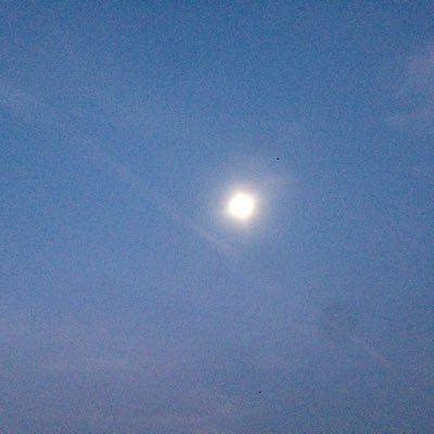 5gaJ1SQ3kzrQ0Ls's profile picture. 