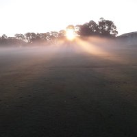 Donald Ross (@kinross2016) 's Twitter Profile