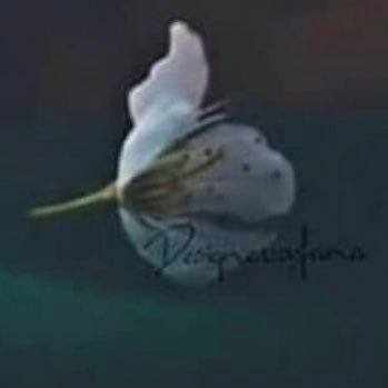 cObssj84pzQZ909's profile picture. 