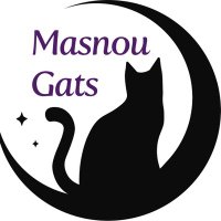 MasnouGats (@masnougats) 's Twitter Profile Photo MasnouGats (@masnougats) 's Twitter Profile Photo