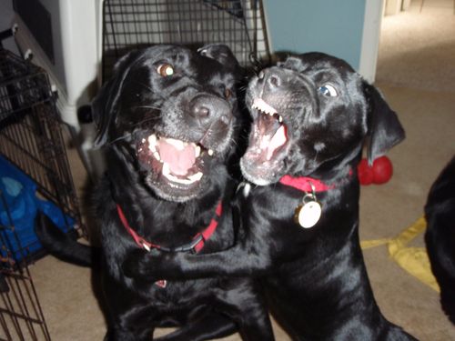 Krusty13's profile picture. Moving Target